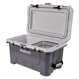 IMX 70-Quart Cooler