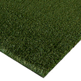48 Oz Artificial Pet Turf
