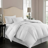 European White down Comforter