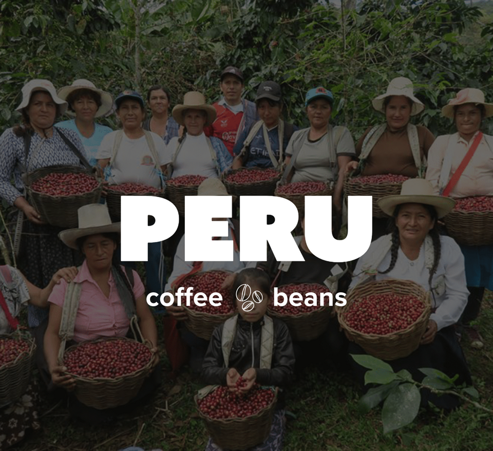 12 OZ Coffee Flavored & Nonflavored Organic Supreme Finest Premium American Espresso Breakfast Cold Brew House Vanilla Chocolate Hazelnut Pumpkin French Vanilla Ethiopia Colombia Sumatra Brazil more