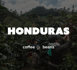 16 OZ Specialty Whole Bean and Ground Coffee Supreme Finest Artisan for Drips Cold Brew Espresso French Press Dark Medium Light Roast from Vanuatu Sumatra Ethiopia Brazil Kenya Colombia Guatemala Burundi Costa Rica East Java El Salvador Honduras etc