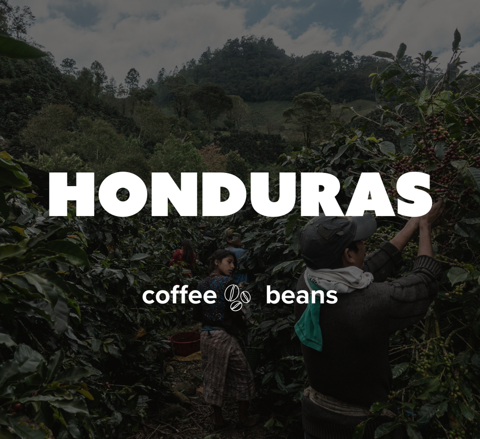 12 OZ Coffee Flavored & Nonflavored Organic Supreme Finest Premium American Espresso Breakfast Cold Brew House Vanilla Chocolate Hazelnut Pumpkin French Vanilla Ethiopia Colombia Sumatra Brazil more