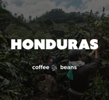 12 OZ Coffee Flavored & Nonflavored Organic Supreme Finest Premium American Espresso Breakfast Cold Brew House Vanilla Chocolate Hazelnut Pumpkin French Vanilla Ethiopia Colombia Sumatra Brazil more