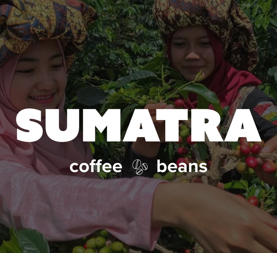 12 OZ Coffee Flavored & Nonflavored Organic Supreme Finest Premium American Espresso Breakfast Cold Brew House Vanilla Chocolate Hazelnut Pumpkin French Vanilla Ethiopia Colombia Sumatra Brazil more