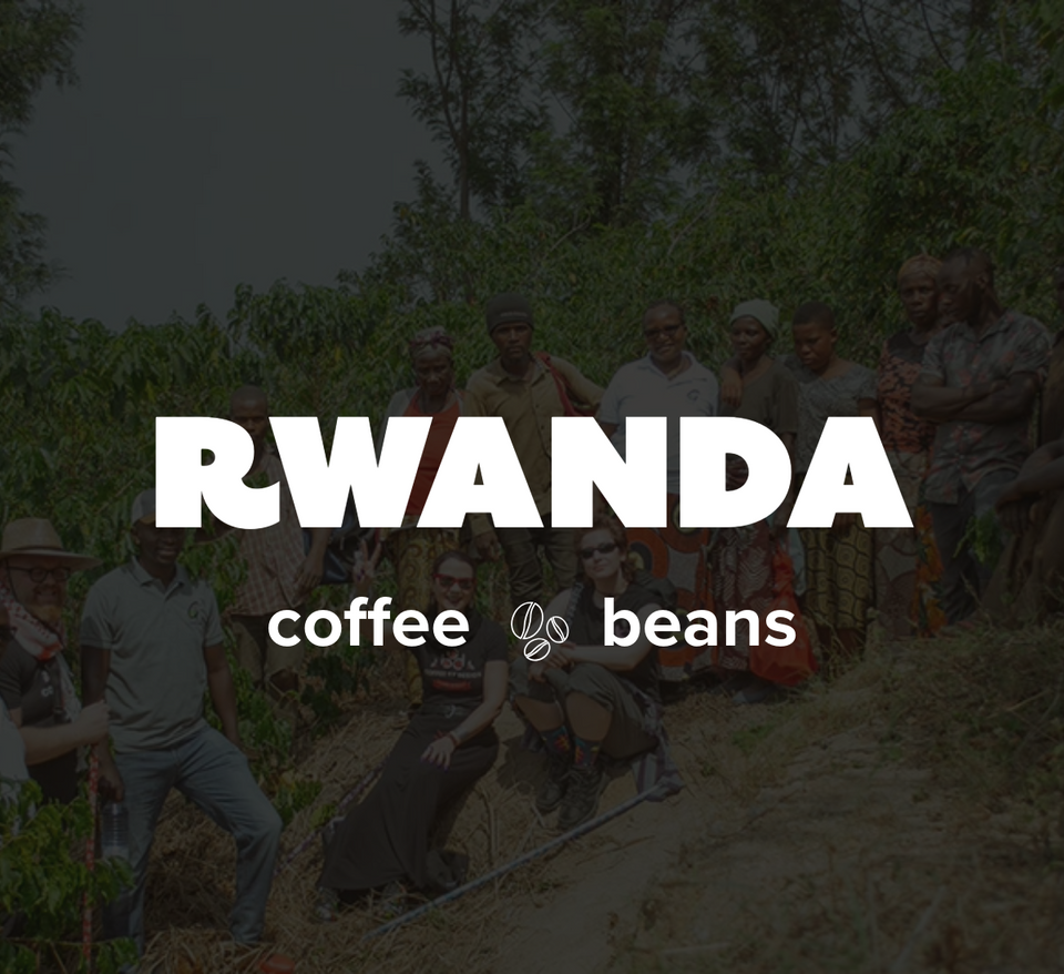 12 OZ Coffee Flavored & Nonflavored Organic Supreme Finest Premium American Espresso Breakfast Cold Brew House Vanilla Chocolate Hazelnut Pumpkin French Vanilla Ethiopia Colombia Sumatra Brazil more