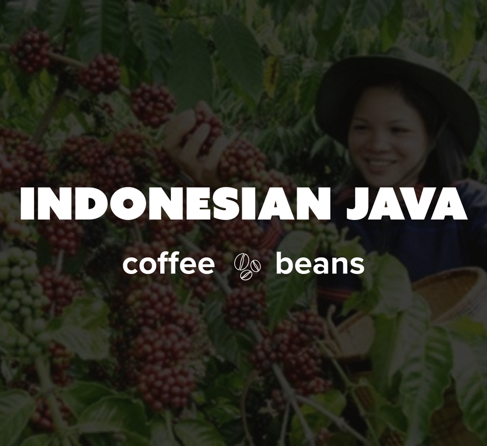 12 OZ Coffee Flavored & Nonflavored Organic Supreme Finest Premium American Espresso Breakfast Cold Brew House Vanilla Chocolate Hazelnut Pumpkin French Vanilla Ethiopia Colombia Sumatra Brazil more