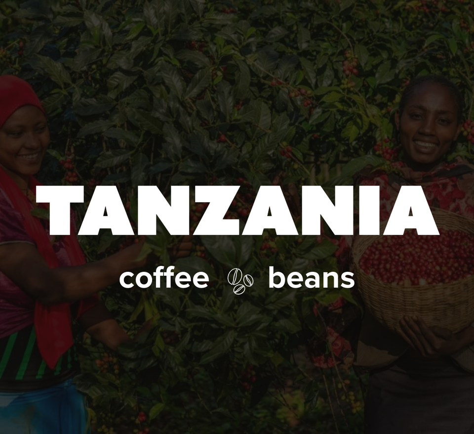 12 OZ Coffee Flavored & Nonflavored Organic Supreme Finest Premium American Espresso Breakfast Cold Brew House Vanilla Chocolate Hazelnut Pumpkin French Vanilla Ethiopia Colombia Sumatra Brazil more