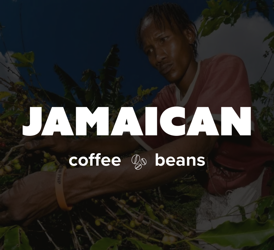 12 OZ Coffee Flavored & Nonflavored Organic Supreme Finest Premium American Espresso Breakfast Cold Brew House Vanilla Chocolate Hazelnut Pumpkin French Vanilla Ethiopia Colombia Sumatra Brazil more