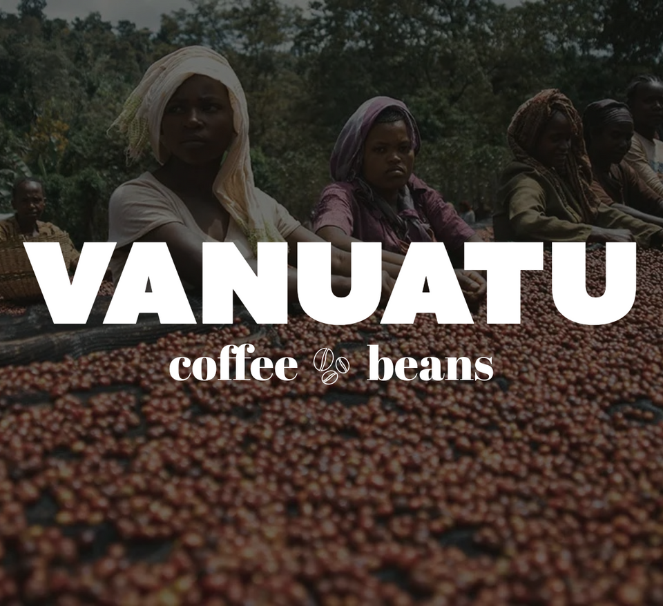 12 OZ Coffee Flavored & Nonflavored Organic Supreme Finest Premium American Espresso Breakfast Cold Brew House Vanilla Chocolate Hazelnut Pumpkin French Vanilla Ethiopia Colombia Sumatra Brazil more