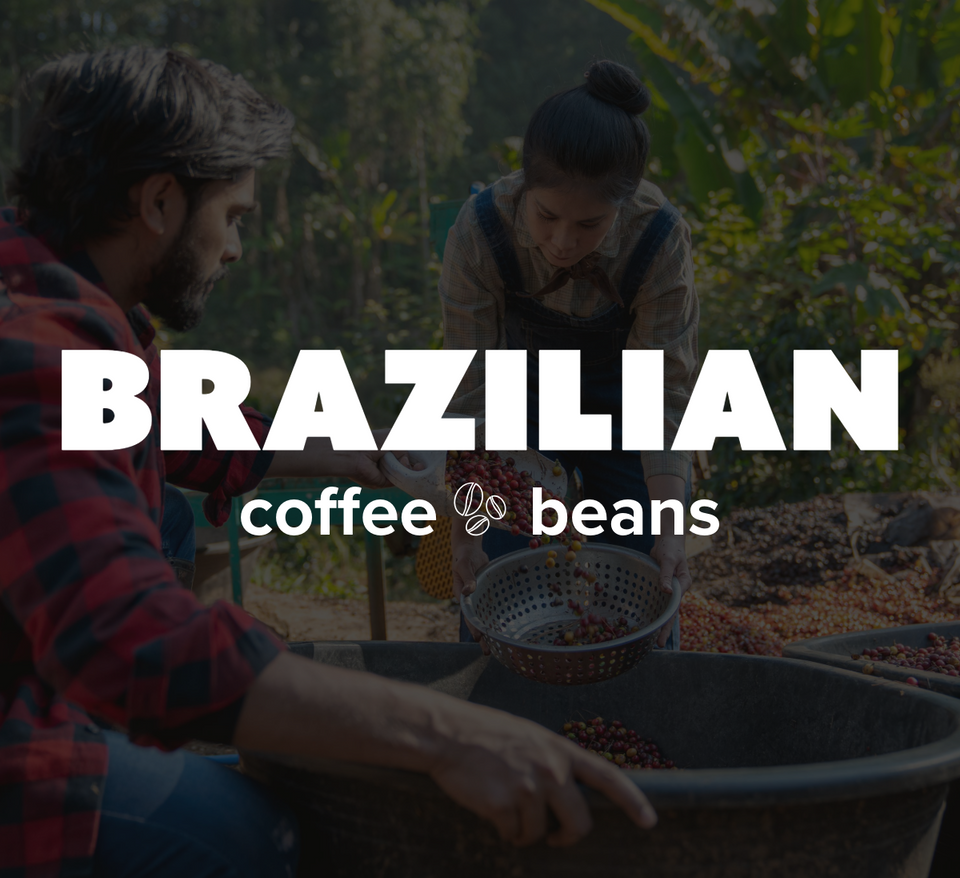 12 OZ Coffee Flavored & Nonflavored Organic Supreme Finest Premium American Espresso Breakfast Cold Brew House Vanilla Chocolate Hazelnut Pumpkin French Vanilla Ethiopia Colombia Sumatra Brazil more