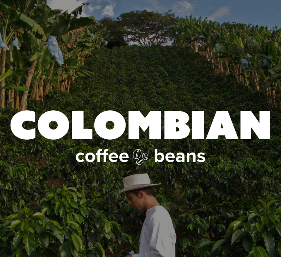 36OZ Random 6 x 6 OZ Sample Size Coffee Beans Roasted Espresso Coffee Supreme Finest Artisan Beans vary from Vanuatu Sumatra Ethiopia  Brazil Kenya Colombia Guatemala Burundi Costa Rica East Java El Salvador Honduras etc