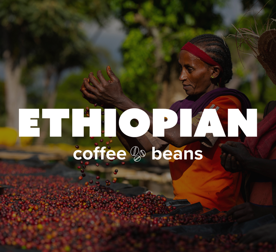 12 OZ Coffee Flavored & Nonflavored Organic Supreme Finest Premium American Espresso Breakfast Cold Brew House Vanilla Chocolate Hazelnut Pumpkin French Vanilla Ethiopia Colombia Sumatra Brazil more