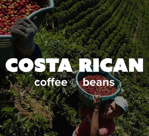 Chocolate Covered Coffee Beans Roasted Espresso Coffee Supreme Finest Artisan Beans vary from Vanuatu Sumatra Ethiopia Brazil Kenya Colombia Guatemala Burundi Costa Rica East Java El Salvador Honduras etc