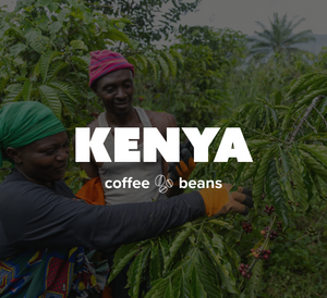 32 OZ 2LB Specialty Whole Bean and Ground Coffee Supreme Finest Artisan for Drips Cold Brew Espresso French Press Dark Medium Light Roast from Vanuatu Sumatra Ethiopia Brazil Kenya Colombia Guatemala Burundi Costa Rica East Java El Salvador Honduras etc