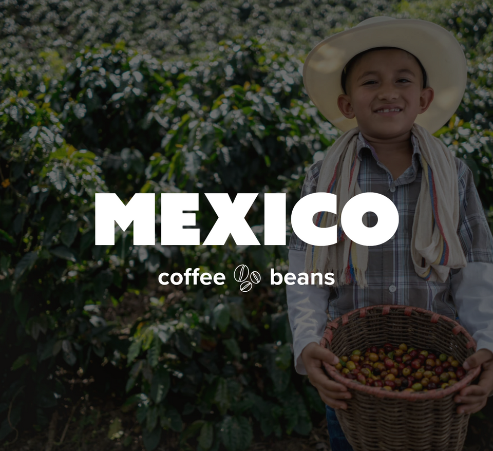 12 OZ Coffee Flavored & Nonflavored Organic Supreme Finest Premium American Espresso Breakfast Cold Brew House Vanilla Chocolate Hazelnut Pumpkin French Vanilla Ethiopia Colombia Sumatra Brazil more