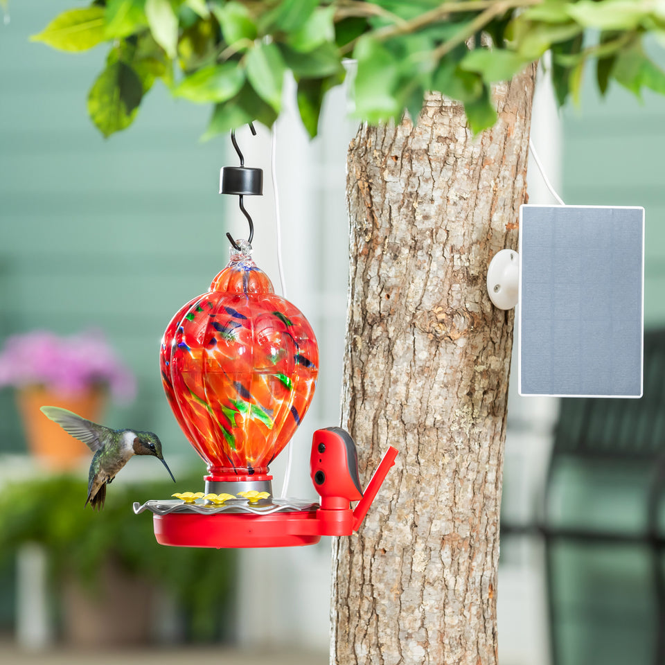 Solar Smart Hummingbird Feeder