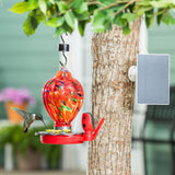 Solar Smart Hummingbird Feeder
