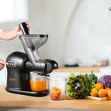 Slow Masticating Juicer, 2-Speed Mode Cold Press Juicer Machine with Reverse Function, Quiet Motor Slow Juicer