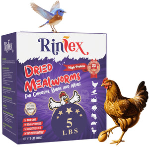 Dried Mealworms 10 Lbs - Organic Chicken Feed for Laying Hens, Bird Seed for outside Feeders
