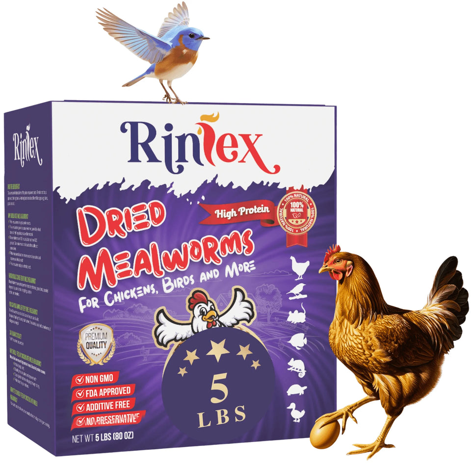 Dried Mealworms 10 Lbs - Organic Chicken Feed for Laying Hens, Bird Seed for outside Feeders