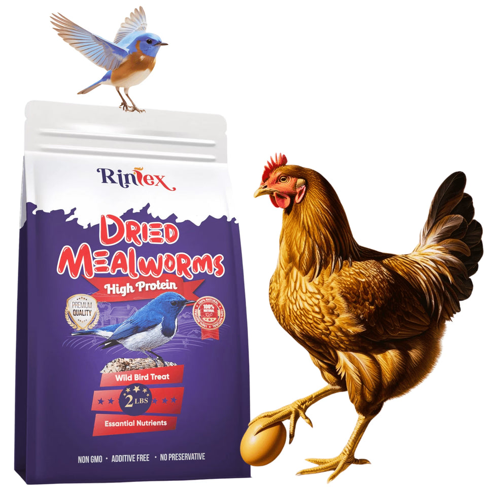 Dried Mealworms 10 Lbs - Organic Chicken Feed for Laying Hens, Bird Seed for outside Feeders