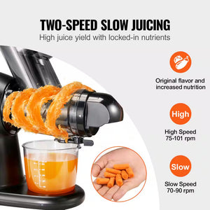 Slow Masticating Juicer, 2-Speed Mode Cold Press Juicer Machine with Reverse Function, Quiet Motor Slow Juicer