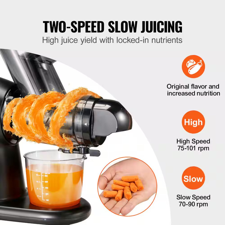 Slow Masticating Juicer, 2-Speed Mode Cold Press Juicer Machine with Reverse Function, Quiet Motor Slow Juicer