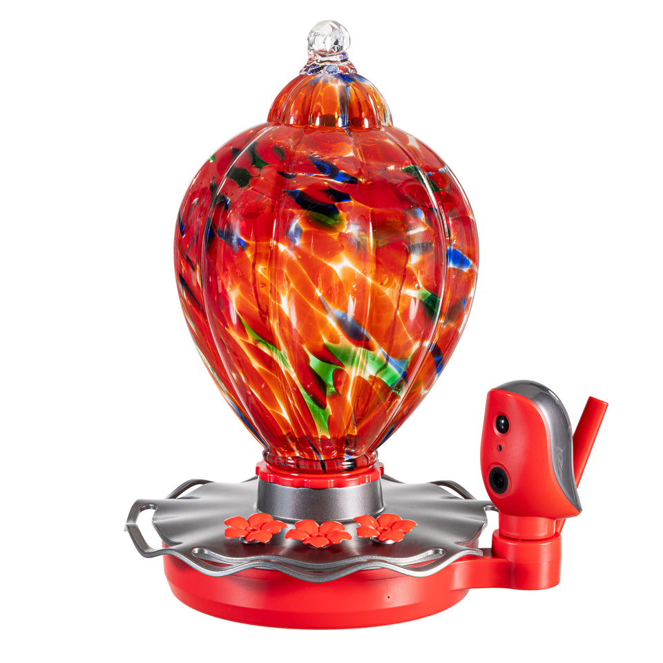 Solar Smart Hummingbird Feeder