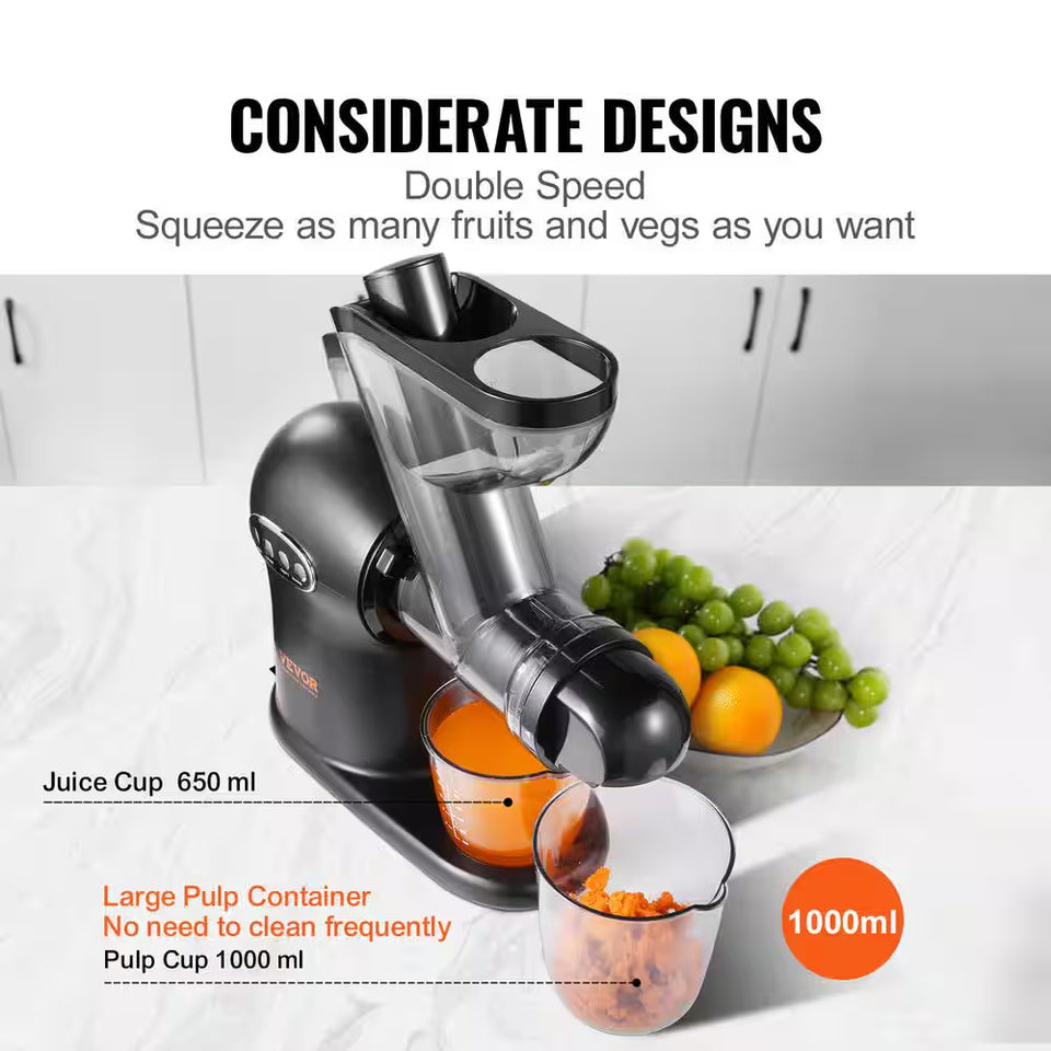 Slow Masticating Juicer, 2-Speed Mode Cold Press Juicer Machine with Reverse Function, Quiet Motor Slow Juicer