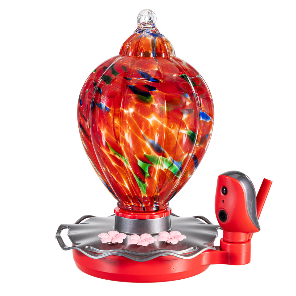 Solar Smart Hummingbird Feeder