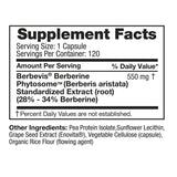 Feel Good Superfoods Berberine Phytosome High Absorption, 120 Vegan Capsules