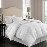 European White down Comforter