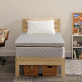 Sealy Charcoal-Infused Memory Foam Dorm Sleep Bundle 3-Piece Set, Twin XL