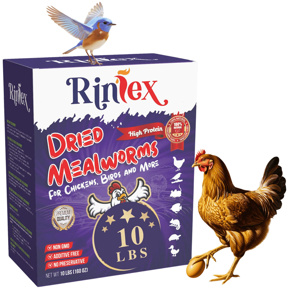 Dried Mealworms 10 Lbs - Organic Chicken Feed for Laying Hens, Bird Seed for outside Feeders