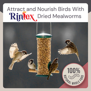 Dried Mealworms 10 Lbs - Organic Chicken Feed for Laying Hens, Bird Seed for outside Feeders