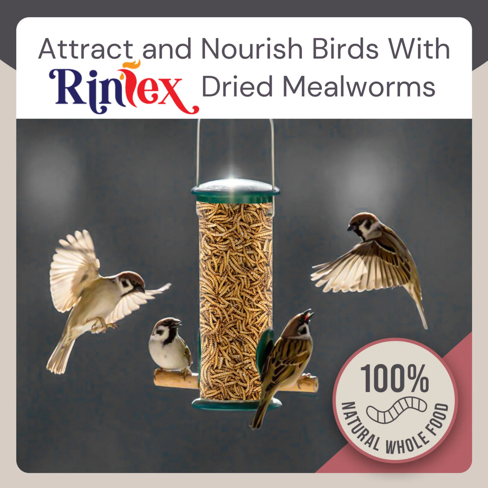 Dried Mealworms 10 Lbs - Organic Chicken Feed for Laying Hens, Bird Seed for outside Feeders