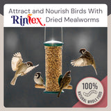 Dried Mealworms 10 Lbs - Organic Chicken Feed for Laying Hens, Bird Seed for outside Feeders
