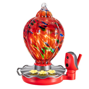 Solar Smart Hummingbird Feeder