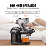 Slow Masticating Juicer, 2-Speed Mode Cold Press Juicer Machine with Reverse Function, Quiet Motor Slow Juicer