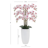 Faux 4’ Phalaenopsis Orchid