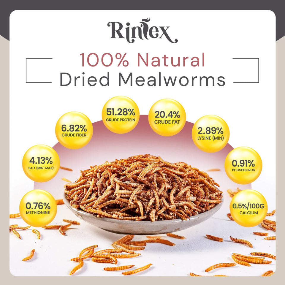 Dried Mealworms 10 Lbs - Organic Chicken Feed for Laying Hens, Bird Seed for outside Feeders