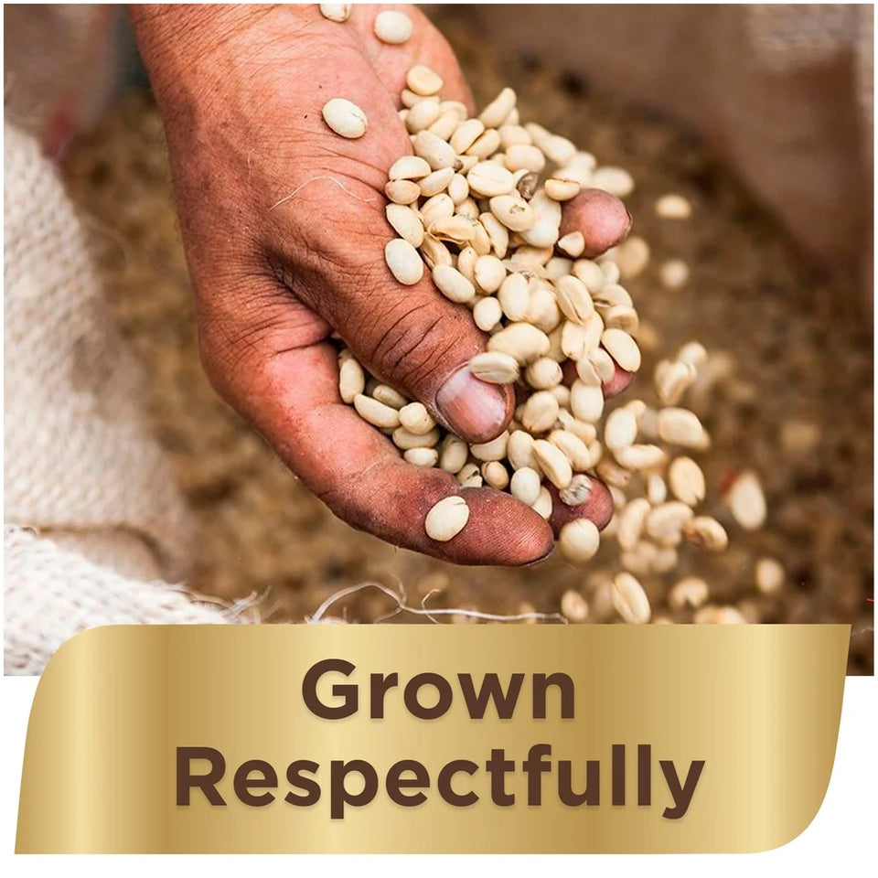 NESCAFE TASTER'S CHOICE House Blend Medium Light Roast Instant Coffee, 7 Oz (1 Box of 4)