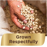 NESCAFE TASTER'S CHOICE House Blend Medium Light Roast Instant Coffee, 7 Oz (1 Box of 4)