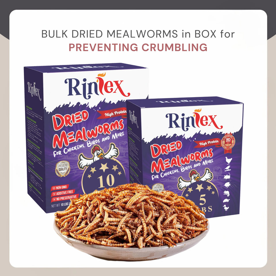 Dried Mealworms 10 Lbs - Organic Chicken Feed for Laying Hens, Bird Seed for outside Feeders