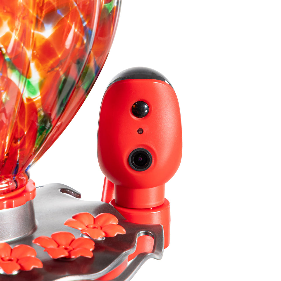 Solar Smart Hummingbird Feeder